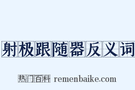 射极跟随器反义词是什么意思的图片